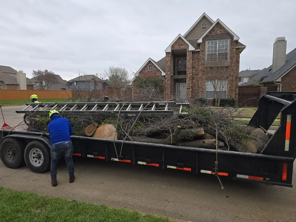 Expert Tree Fertilization with proper safety equipment in Lovington